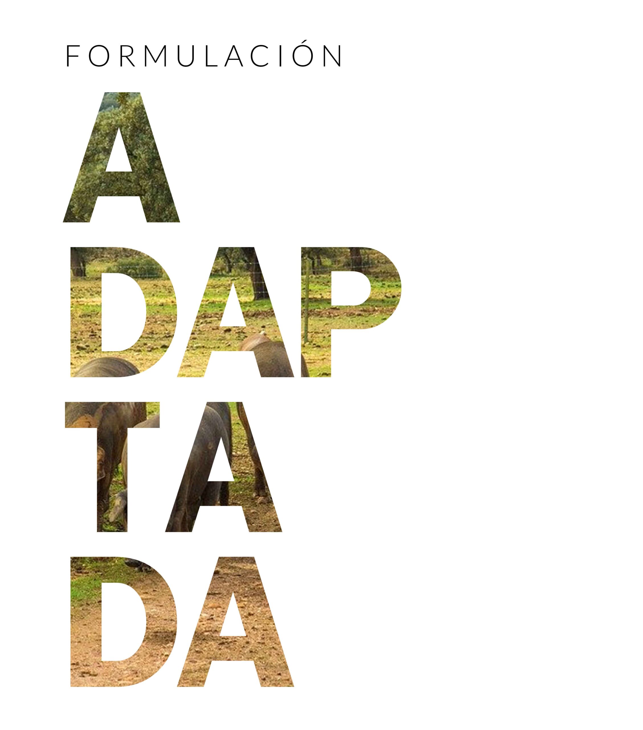 Formulación Adaptada Sigaex Formulación adaptada