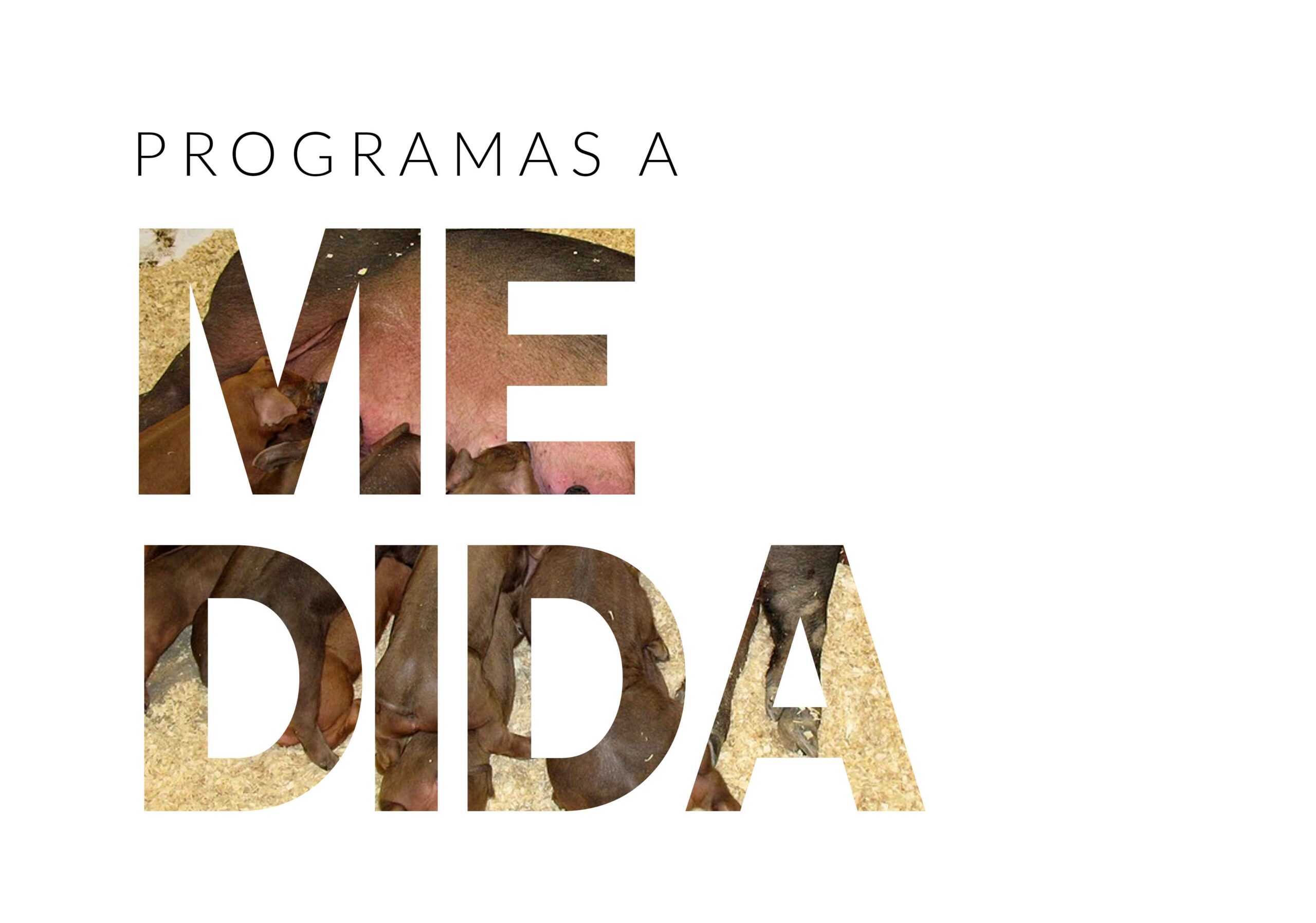 Programas a Medida Sigaex Programas a medida en Sigaex